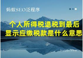 个人所得税退税到最后显示应缴税款是什么意思