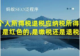 个人所得税退税应纳税所得额是红色的,是缴税还是退税?