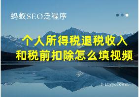 个人所得税退税收入和税前扣除怎么填视频