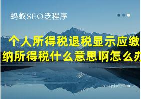 个人所得税退税显示应缴纳所得税什么意思啊怎么办