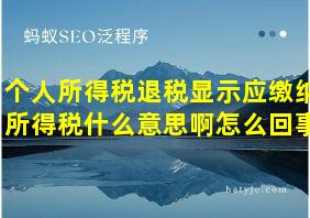 个人所得税退税显示应缴纳所得税什么意思啊怎么回事