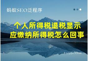 个人所得税退税显示应缴纳所得税怎么回事