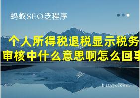 个人所得税退税显示税务审核中什么意思啊怎么回事