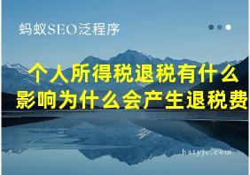 个人所得税退税有什么影响为什么会产生退税费