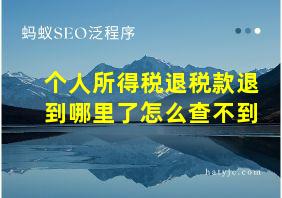 个人所得税退税款退到哪里了怎么查不到