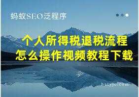 个人所得税退税流程怎么操作视频教程下载