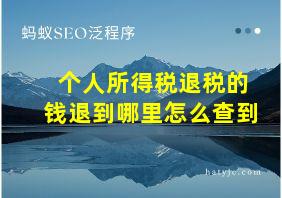 个人所得税退税的钱退到哪里怎么查到