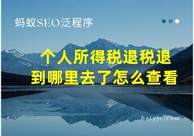 个人所得税退税退到哪里去了怎么查看