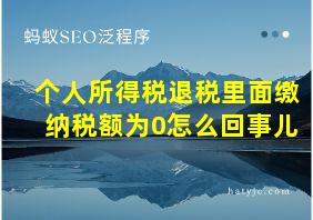 个人所得税退税里面缴纳税额为0怎么回事儿