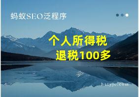 个人所得税退税100多