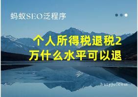 个人所得税退税2万什么水平可以退