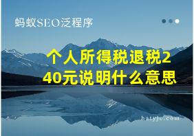 个人所得税退税240元说明什么意思