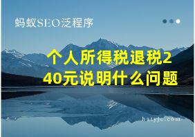 个人所得税退税240元说明什么问题