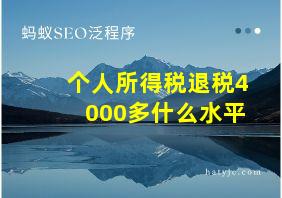 个人所得税退税4000多什么水平