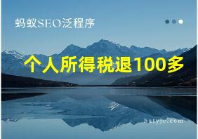 个人所得税退100多