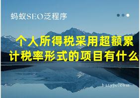 个人所得税采用超额累计税率形式的项目有什么