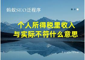 个人所得税里收入与实际不符什么意思