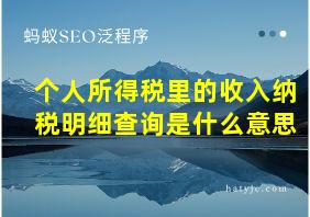 个人所得税里的收入纳税明细查询是什么意思