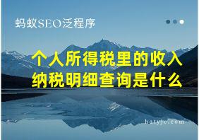 个人所得税里的收入纳税明细查询是什么