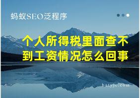 个人所得税里面查不到工资情况怎么回事