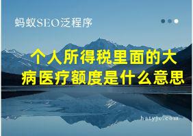 个人所得税里面的大病医疗额度是什么意思