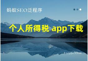 个人所得税 app下载