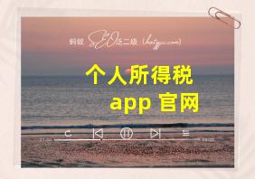 个人所得税 app 官网