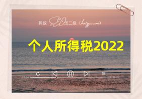 个人所得税2022