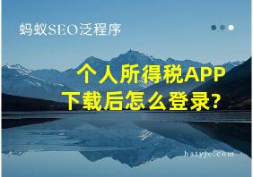 个人所得税APP下载后怎么登录?