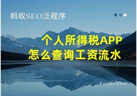 个人所得税APP怎么查询工资流水