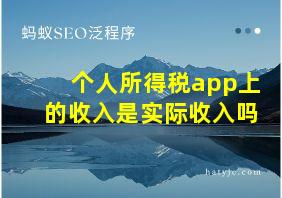 个人所得税app上的收入是实际收入吗