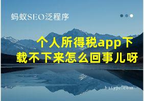 个人所得税app下载不下来怎么回事儿呀