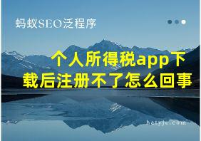 个人所得税app下载后注册不了怎么回事