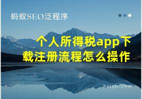 个人所得税app下载注册流程怎么操作