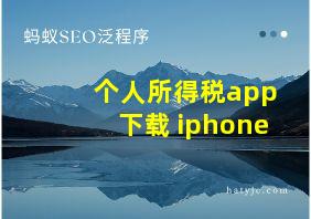 个人所得税app下载 iphone