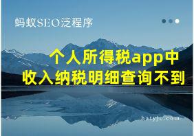 个人所得税app中收入纳税明细查询不到