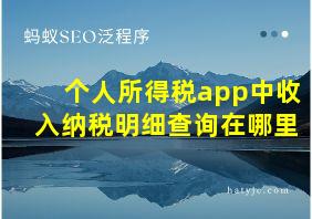 个人所得税app中收入纳税明细查询在哪里