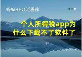 个人所得税app为什么下载不了软件了