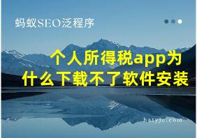 个人所得税app为什么下载不了软件安装