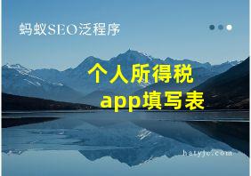 个人所得税app填写表