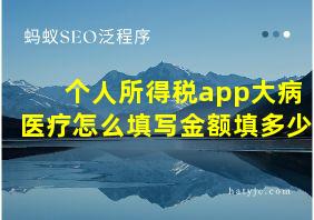 个人所得税app大病医疗怎么填写金额填多少