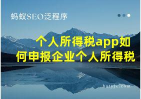 个人所得税app如何申报企业个人所得税