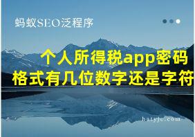 个人所得税app密码格式有几位数字还是字符