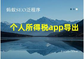 个人所得税app导出