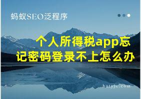 个人所得税app忘记密码登录不上怎么办