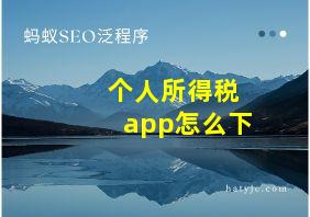 个人所得税app怎么下