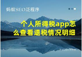 个人所得税app怎么查看退税情况明细