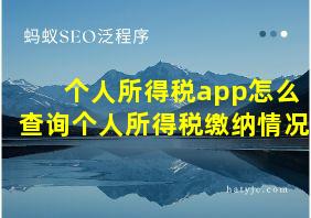 个人所得税app怎么查询个人所得税缴纳情况