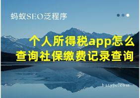 个人所得税app怎么查询社保缴费记录查询