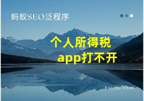 个人所得税app打不开